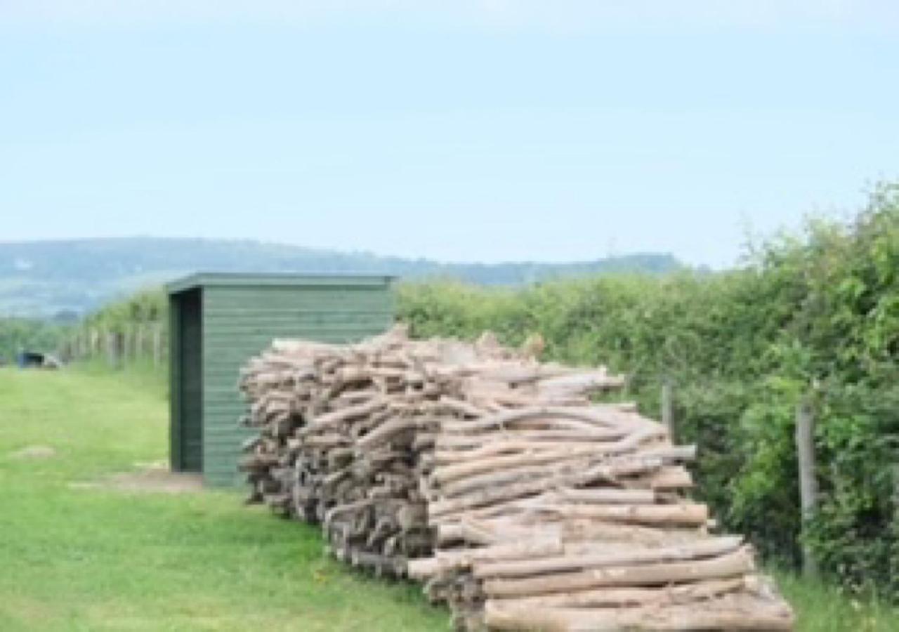 Gumtree Tipis Hotel Bickington Exterior photo