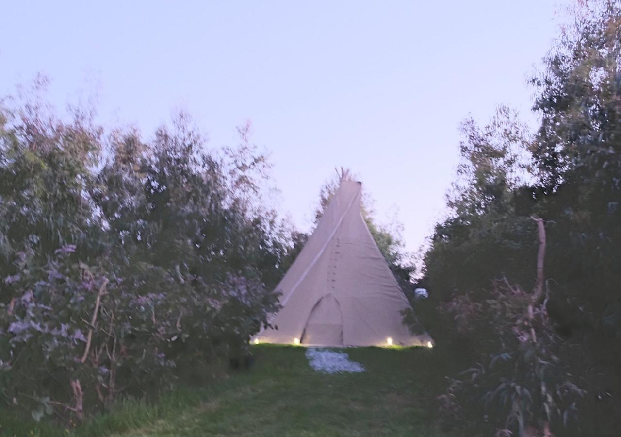 Gumtree Tipis Hotel Bickington Exterior photo